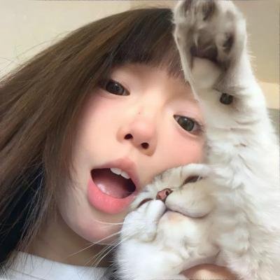收税人